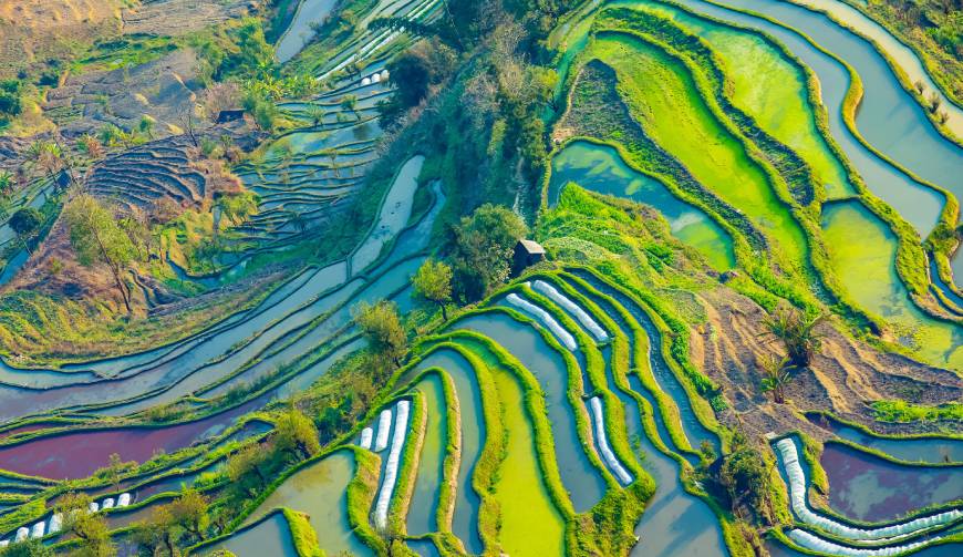 宝妈必备神器：金寨县产品视频拍摄轻松育儿好帮手